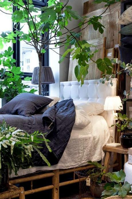 Flores y plantas para una abientacion natural