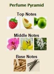 El Perfume del Mes – “Guess Girl” de GUESS El Perfume del Mes – “Guess Girl” de GUESS