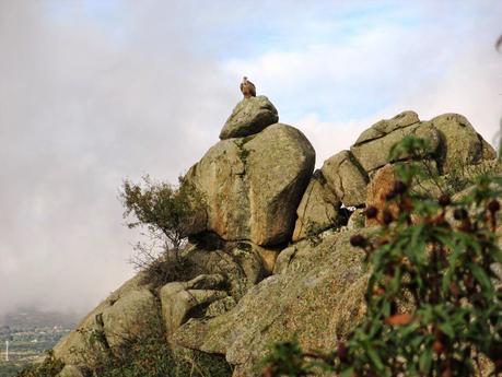 POR LA PEDRIZA: CUEVA DEL MAQUIS