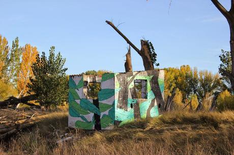 Reforestando al guardián ciego (con Doa)