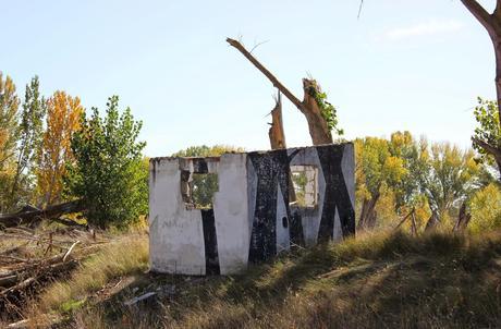 Reforestando al guardián ciego (con Doa)