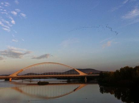 Migrando sobre Mérida