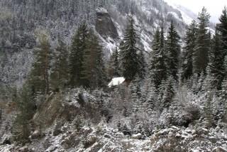 BOSQUE DE ABETOS CERCA DEL GLACIAR CHALATI, MESTÍA