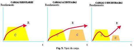 COMO CONSTRUIR UNA PROGRAMACIÓN PARA ORGANIZAR EL ENTRENAMIENTO EN LA CONSECUCIÓN DE LOS OBJETIVOS PARA LA PRÓXIMA TEMPORADA. Cargas regulares, acentuadas, concentradas