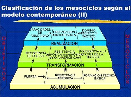 Modelo contemporaneo