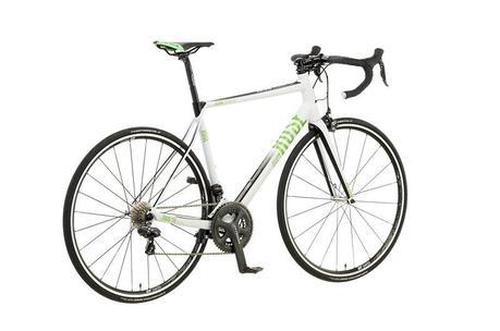 Rose Xeon Team GF-3100 2