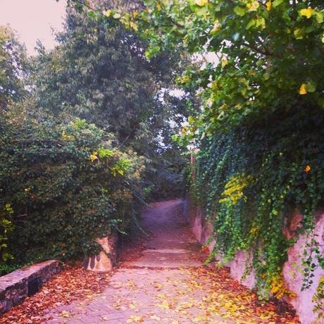 otoño en l'Empordà