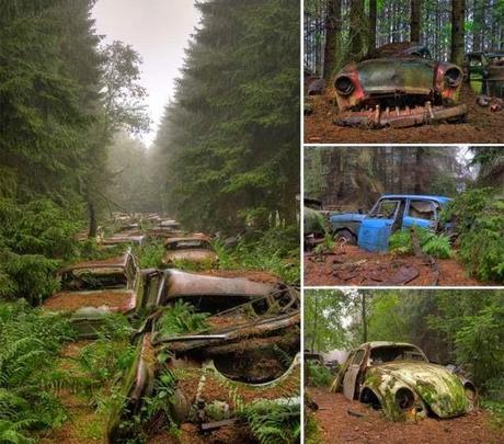 La Naturaleza ocupa lugares abandonados