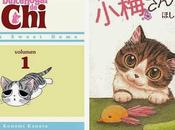 ¡Atentos, amantes gatos!: dulce hogar Chi' resucita llega 'Plum: Historias gatunas'