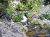 aventura vivir miedo