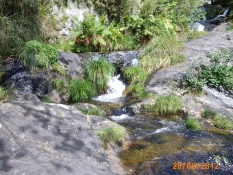 la aventura de vivir sin miedo