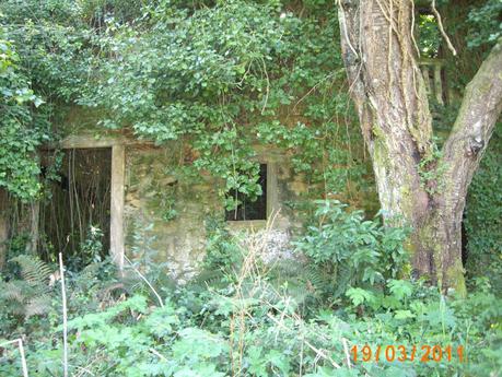 la aventura de vivir sin miedo