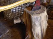 imagen seguridad, aporta duda...