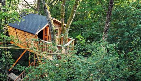 Hoy dormimos en el bosque.......