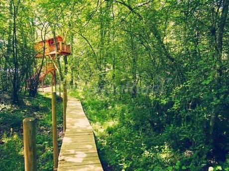 Hoy dormimos en el bosque.......