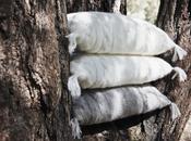 Colección trähus: nueva edición limitada ikea