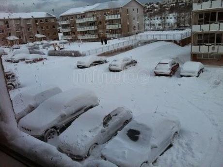 INVIERNO ÁRTICO
