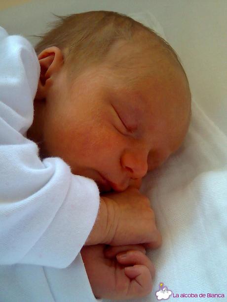 ¿Quién marca los horarios?