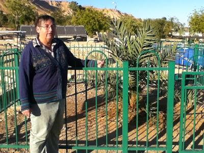 Fuente: http://4.bp.blogspot.com/-epWKMQYSmC8/UNcTXmwauAI/AAAAAAAACj4/bW8qSLRBlx0/s400/IMG_2074.jpg Matusalén, la palmera que vino directa del pasado