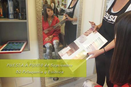 Puesta a punto de Septiembre (D2 peluqueros)