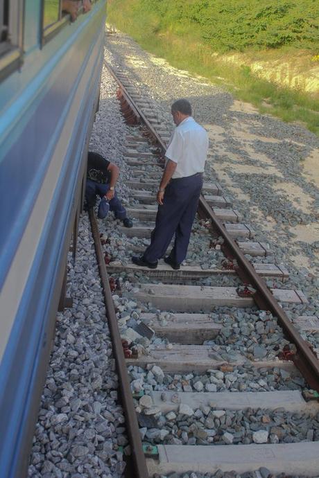 tren-habana-guanajay (14)