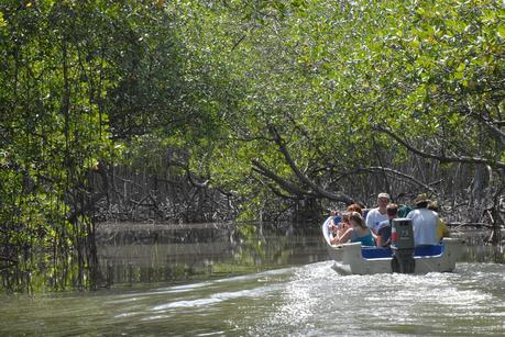 Recorren zonas  eco turísticas de Sabana de la Mar