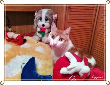 PROYECTO DE LA A A LA Z DEL BLOG: MISS LAVANDA