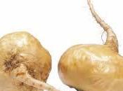 Maca Andina para aumentar vigor energía
