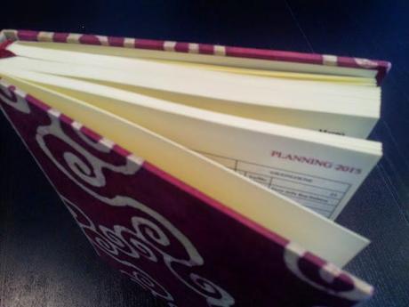 Taller de Agendas 2015, Las Ideas de Yoli.