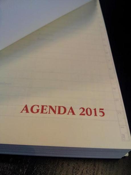 Taller de Agendas 2015, Las Ideas de Yoli.