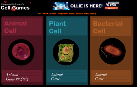 21 Interactive Cells 21 Interactive Cells