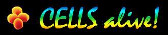 21 Interactive Cells 21 Interactive Cells