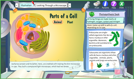 21 Interactive Cells 21 Interactive Cells
