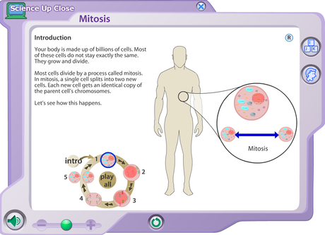 21 Interactive Cells 21 Interactive Cells