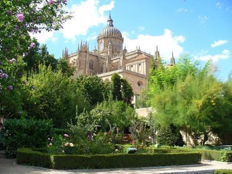 Los detalles de... Las hojas de Julia