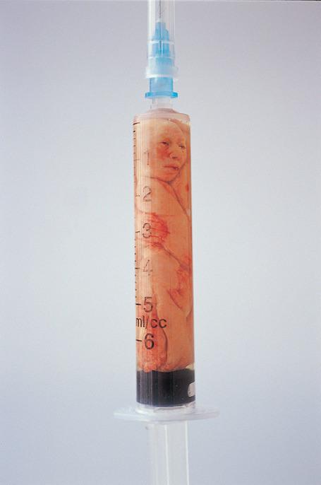 tumblr_n1ja93DQ2s1qlq9poo5_500