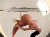 perturbadoras esculturas Dongwook