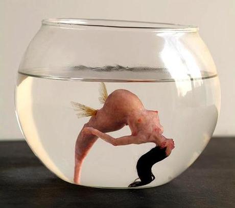 tumblr_n1ja93DQ2s1qlq9poo2_500