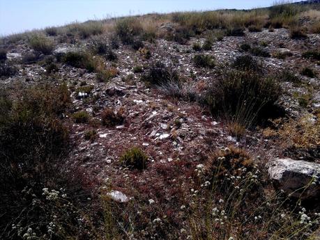 Si las piedras hablaran -4: En las minas de speculum