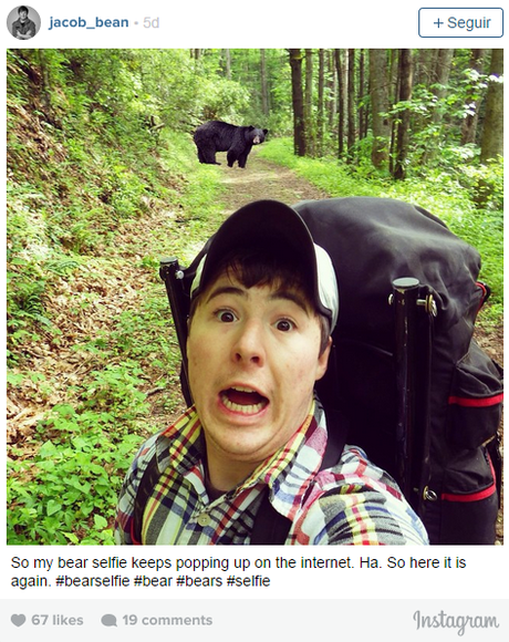 Las selfies con osos o Bear Selfies se ponen de moda.