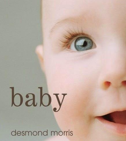 Recursos: Libros imprescindibles sobre el desarrollo Infantil