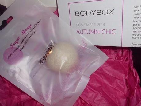 Magic Coast Esponja Lonjac Original