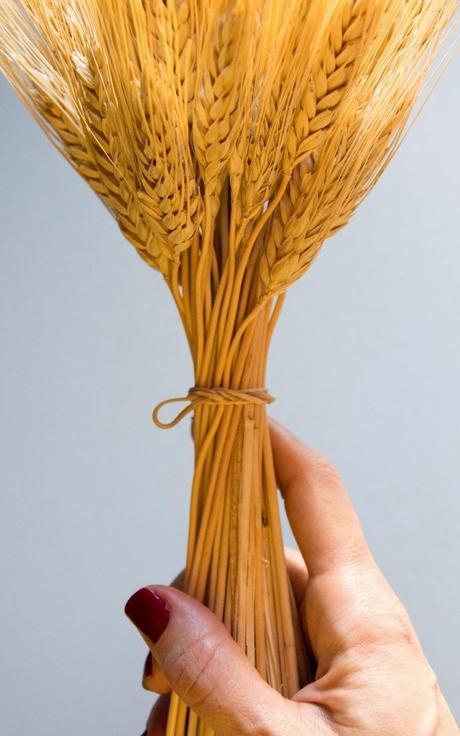 ramo de espigas sujeto con goma elastica