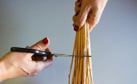 cortando los tallos de las espigas