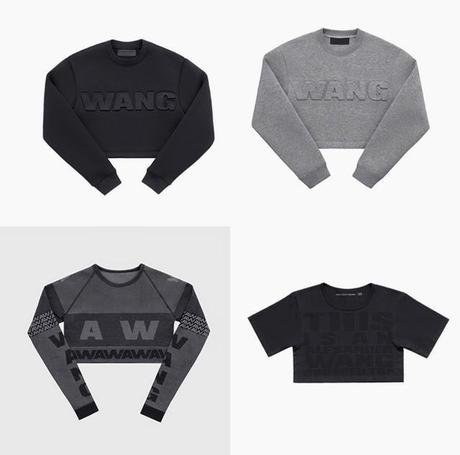 alexander_wang_hm