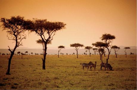 Atardecer en Kenia