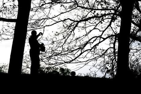 Tips Fotografía: Parámetros en Manual 2