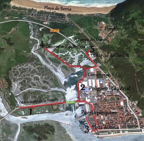 DÓNDE VER AVES EN LAS MARISMAS DE SANTOÑA