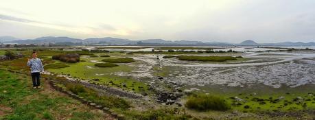 DÓNDE VER AVES EN LAS MARISMAS DE SANTOÑA