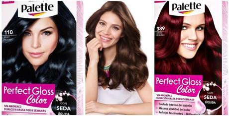 Palette Perfect Gloss Color ¿Llevas el color de cabello correcto?